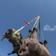 Image for article titled The Best Way To Transport A Rhino? Upside Down, Tied to a Helicopter